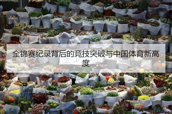 全锦赛纪录背后的竞技突破与中国体育新高度